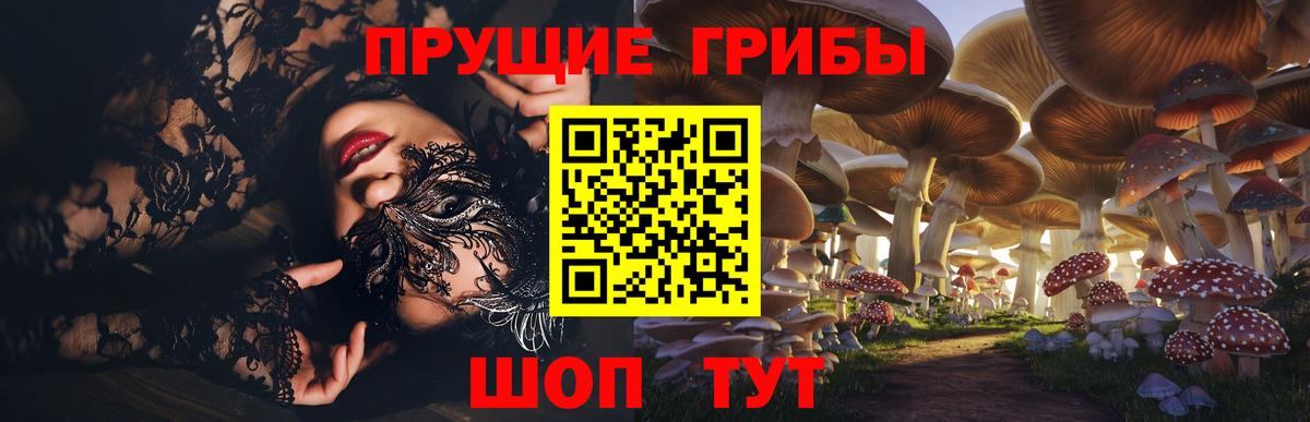 Псилоцибиновые грибы мухоморы  Вход с VPN  Псилоцибиновые грибы прущие грибы  Бутурлиновка 